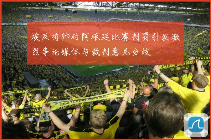埃及将帅对阿根廷比赛判罚引发激烈争论媒体与裁判意见分歧