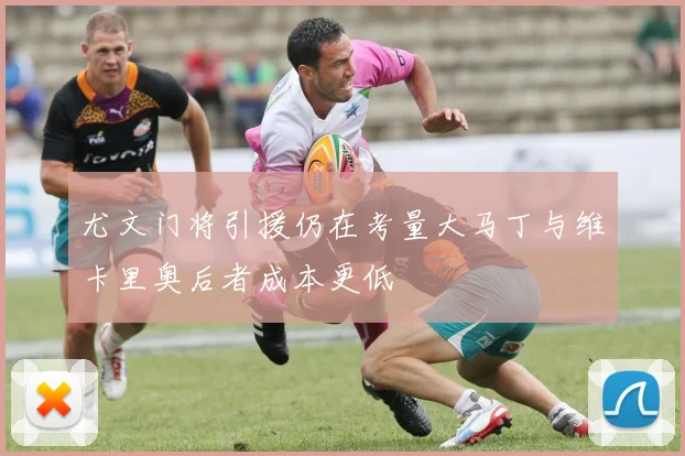 尤文门将引援仍在考量大马丁与维卡里奥后者成本更低