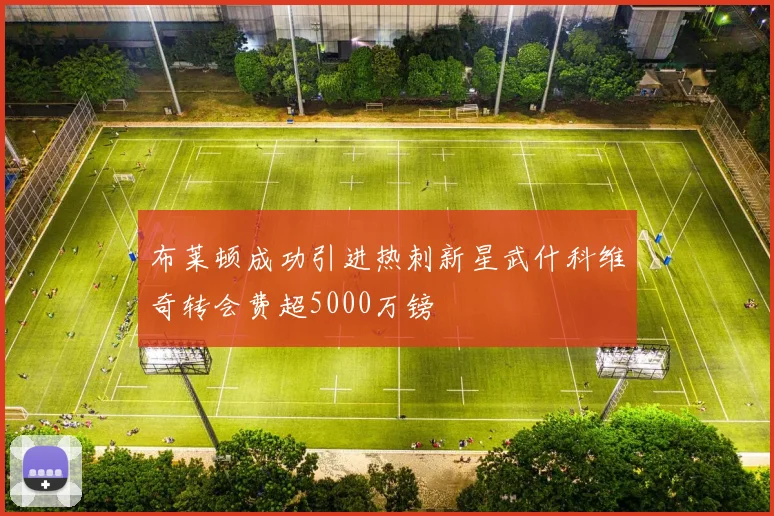 布莱顿成功引进热刺新星武什科维奇转会费超5000万镑